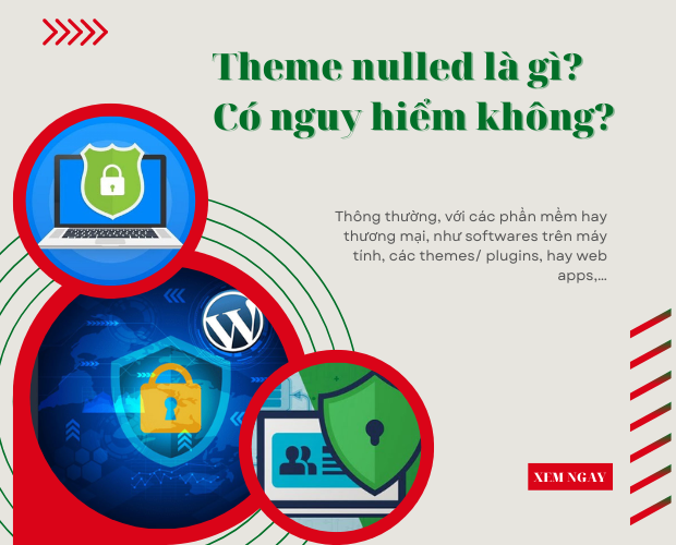 Theme nulled là gì ?